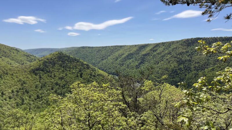 Golden Eagle Trail - Cammal, PA