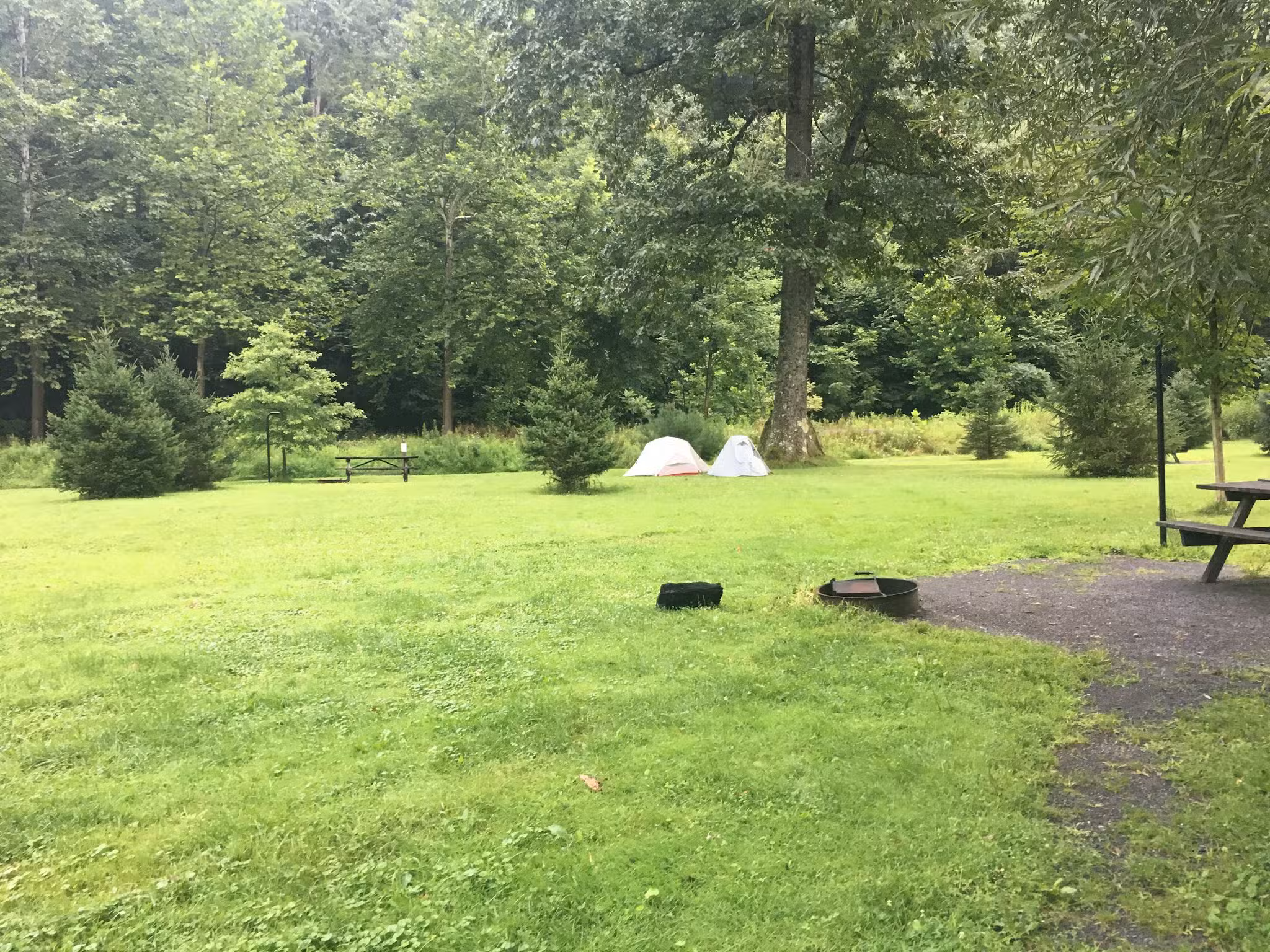Tomb Flats Campground - Cammal, PA