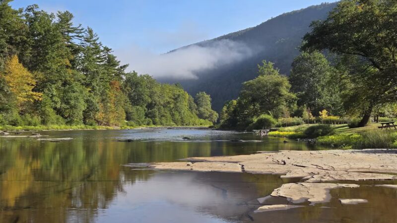 Tomb Flats Campground - Cammal, PA