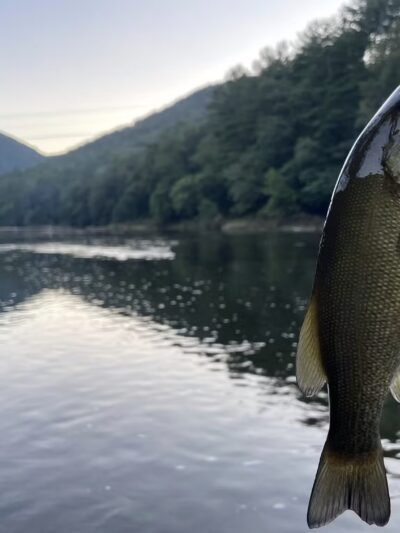 Tomb Flats Campground - Cammal, PA