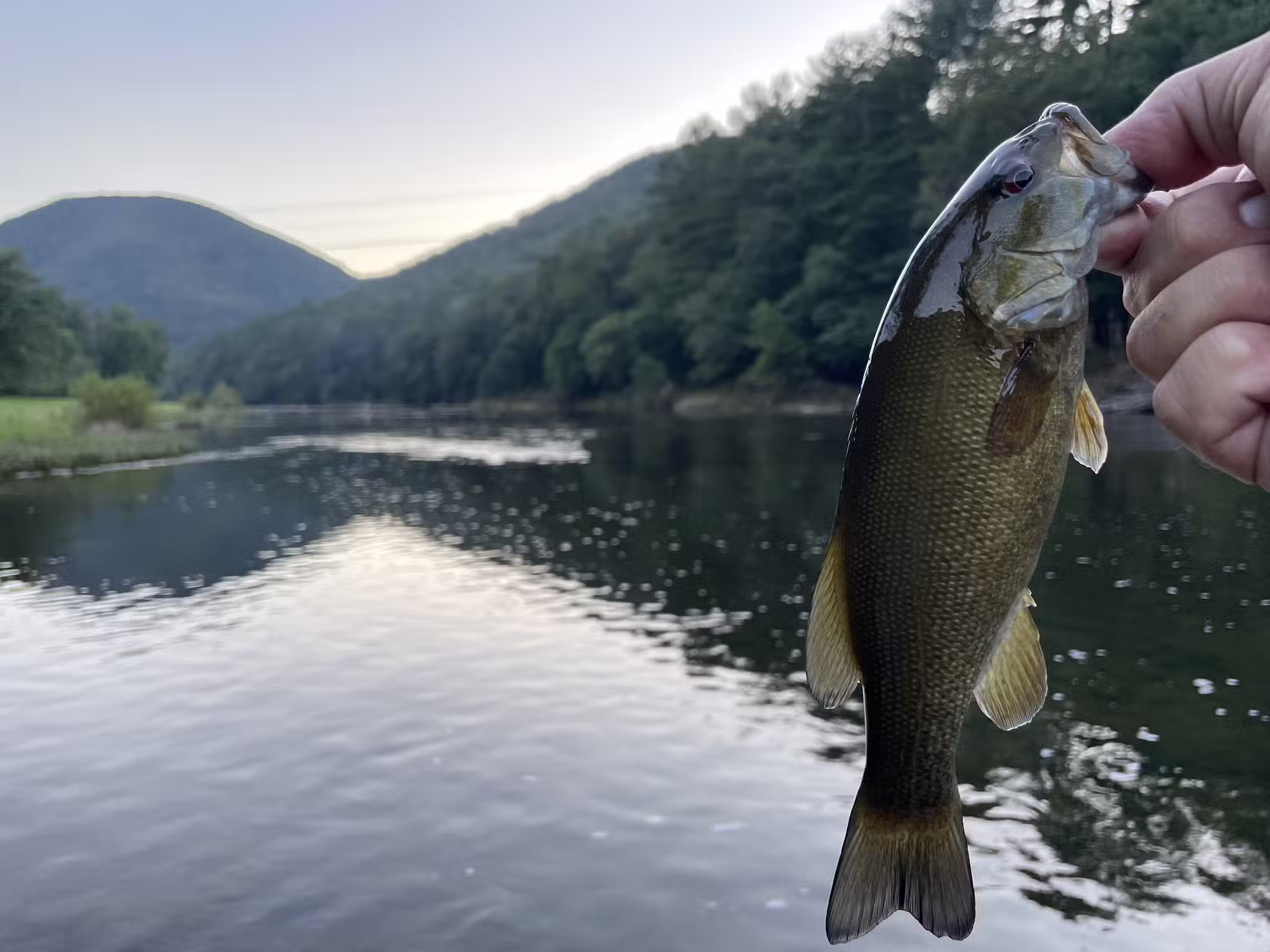 Tomb Flats Campground - Cammal, PA