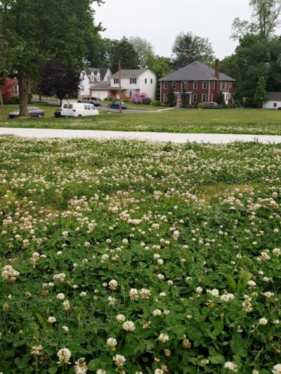 Schaeffer Park - Camp Hill, PA