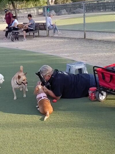 Dog Park | Los Gatos Creek - Campbell, CA