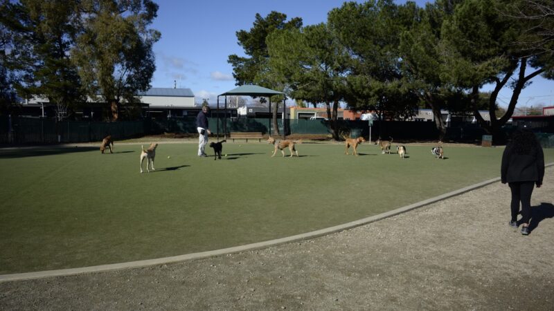 Dog Park | Los Gatos Creek - Campbell, CA