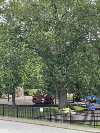 Campton City Park - Campton, KY