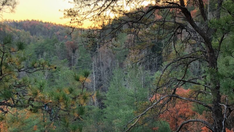 Creation Falls - Campton, KY