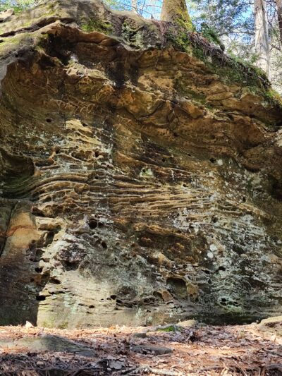 Creation Falls - Campton, KY