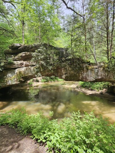 Rock Bridge Hike Trail Head - Campton, KY