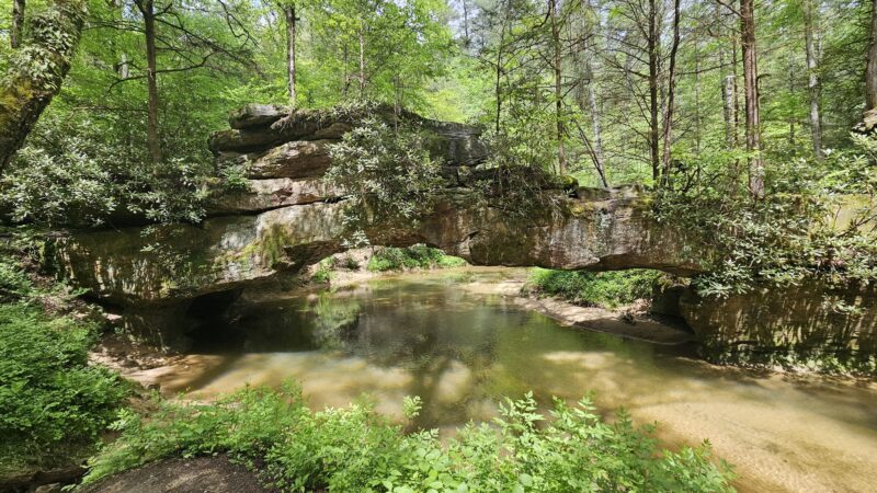 Rock Bridge Hike Trail Head - Campton, KY