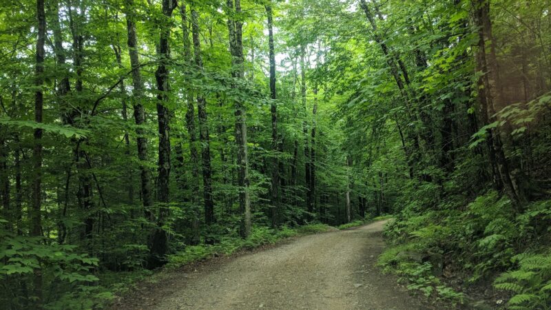Campton Day Use Area - Campton, NH