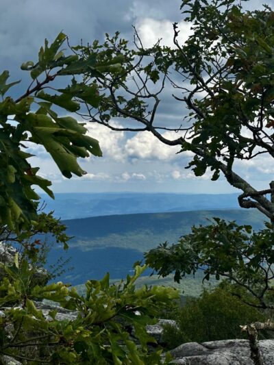 Bear Rocks - Canaan Heights, WV