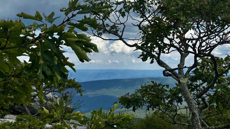 Bear Rocks - Canaan Heights, WV