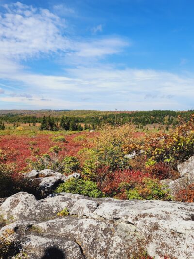 Bear Rocks - Canaan Heights, WV
