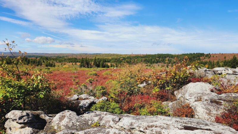 Bear Rocks - Canaan Heights, WV