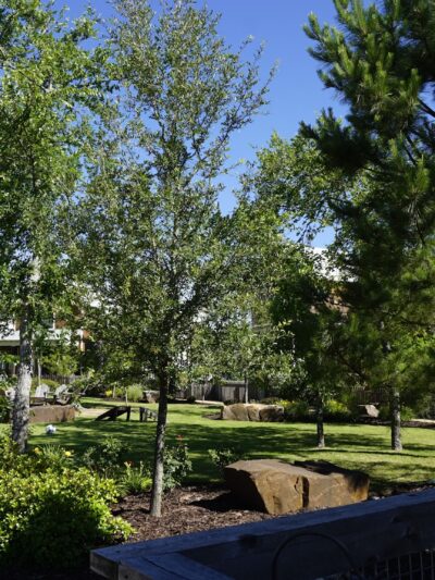 Cottage Court - Canadian, OK