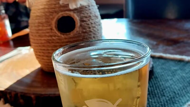 Oneida Lake Brew Haus - Canastota, NY