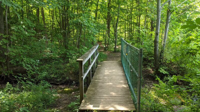 Oxbow Falls Park - Canastota, NY