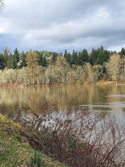 Eco Park - Canby, OR