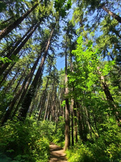 Eco Park - Canby, OR
