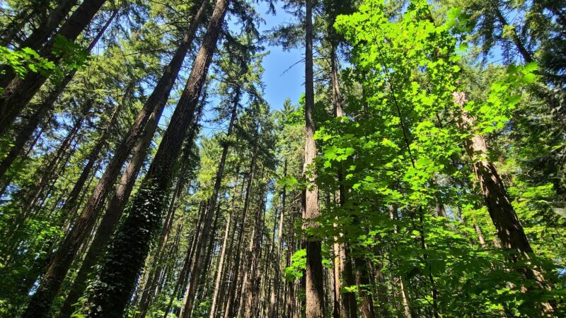 Eco Park - Canby, OR