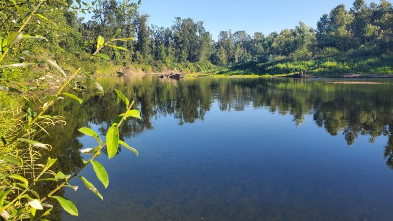 Boat Ramp, Molalla River State Park - Canby, OR