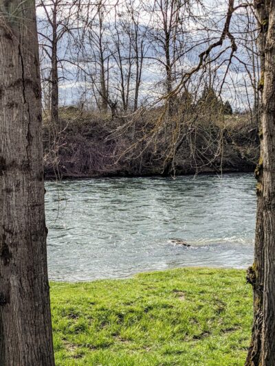 Canby Community (River) Park - Canby, OR