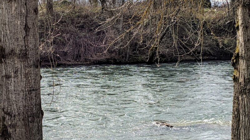 Canby Community (River) Park - Canby, OR
