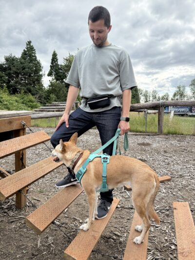 Huffman K9 Obedience - Canby, OR