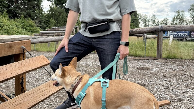 Huffman K9 Obedience - Canby, OR