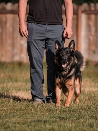 Huffman K9 Obedience - Canby, OR