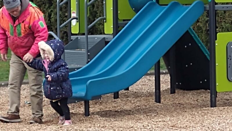 Locust Street Park - Canby, OR