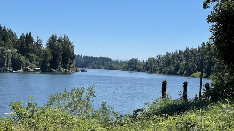 Logging Road Trailhead - Canby, OR