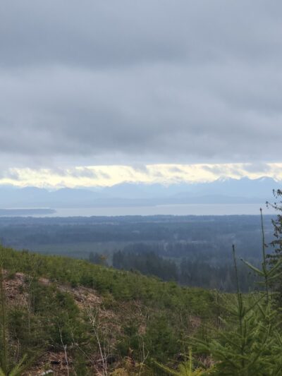 Logging Road Trailhead - Canby, OR