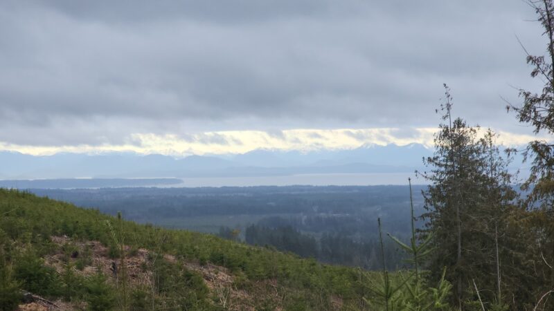Logging Road Trailhead - Canby, OR