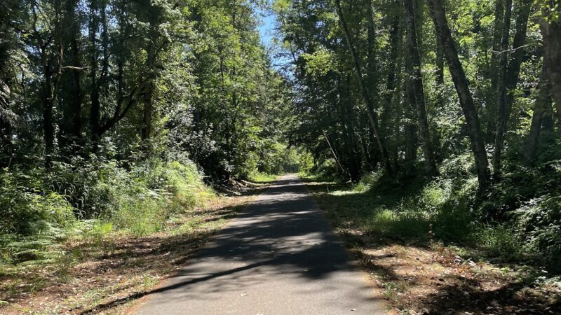 Logging Road Trailhead - Canby, OR