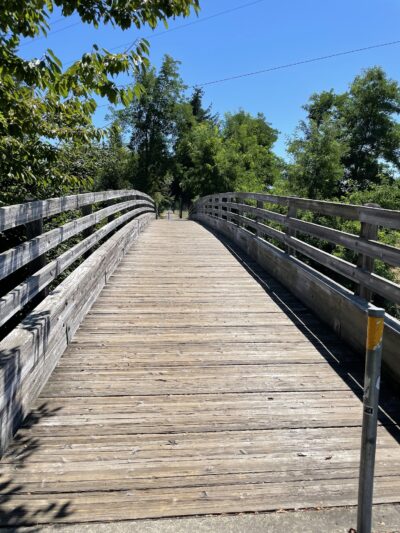 Logging Road Trailhead - Canby, OR