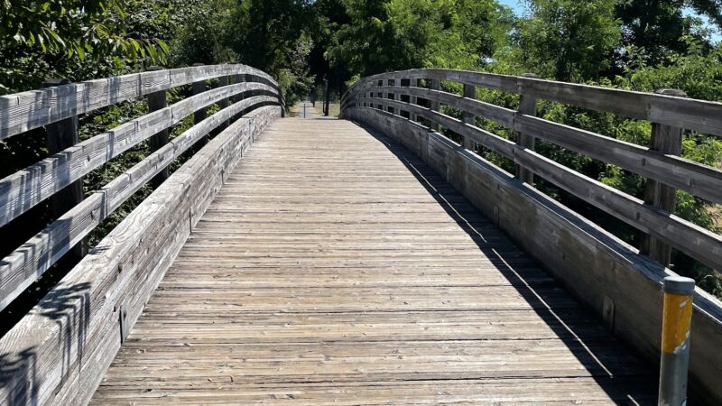 Logging Road Trailhead - Canby, OR