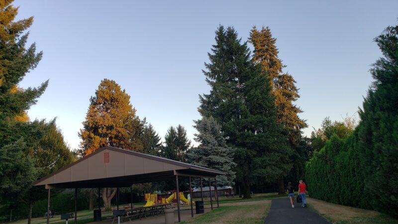 Maple Street Park - Canby, OR