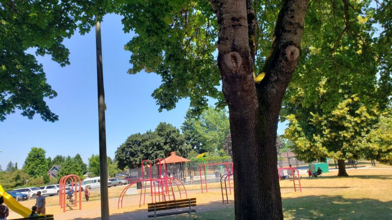 Maple Street Park - Canby, OR