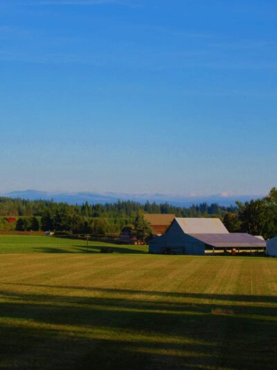 Timber Park - Canby, OR