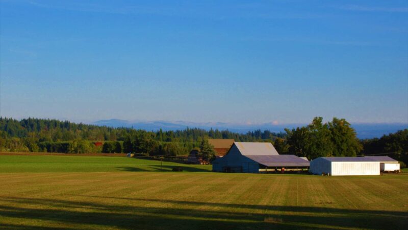 Timber Park - Canby, OR