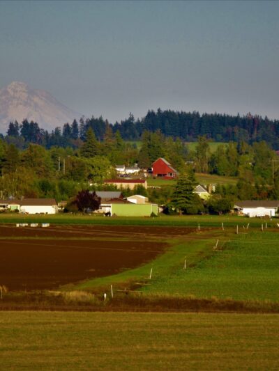 Timber Park - Canby, OR