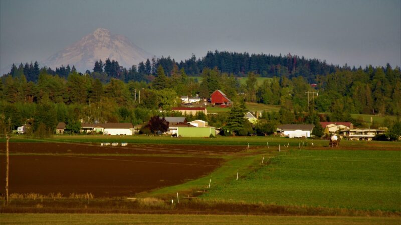 Timber Park - Canby, OR