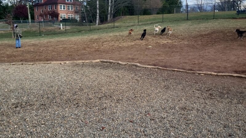 Buncombe County Dog Park - Candler, NC