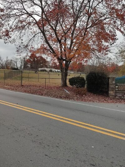 Buncombe County Dog Park - Candler, NC