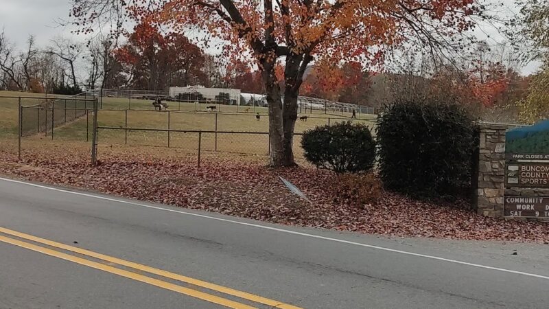 Buncombe County Dog Park - Candler, NC