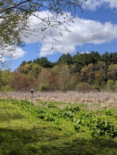 Pequitside Farm - Canton, MA