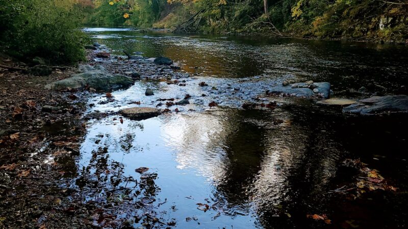 Canton Recreation Park - Canton, NC