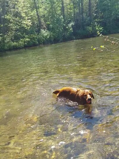 Canton Recreation Park - Canton, NC
