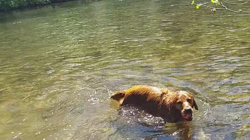 Canton Recreation Park - Canton, NC